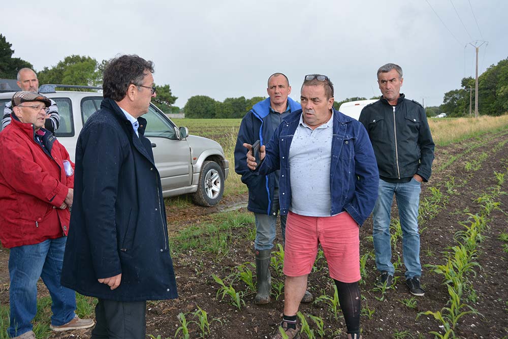  - Illustration Choucas des tours : Passer à l’action