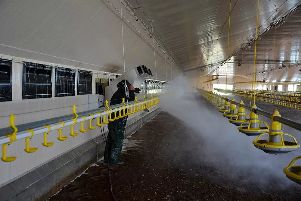 D6095 - Illustration Le lavage et la désinfection confiés à une entreprise spécialisée