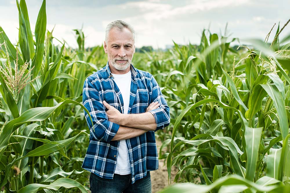 6742.hr - Illustration Respecter la conditionnalité pour toucher ses aides Pac