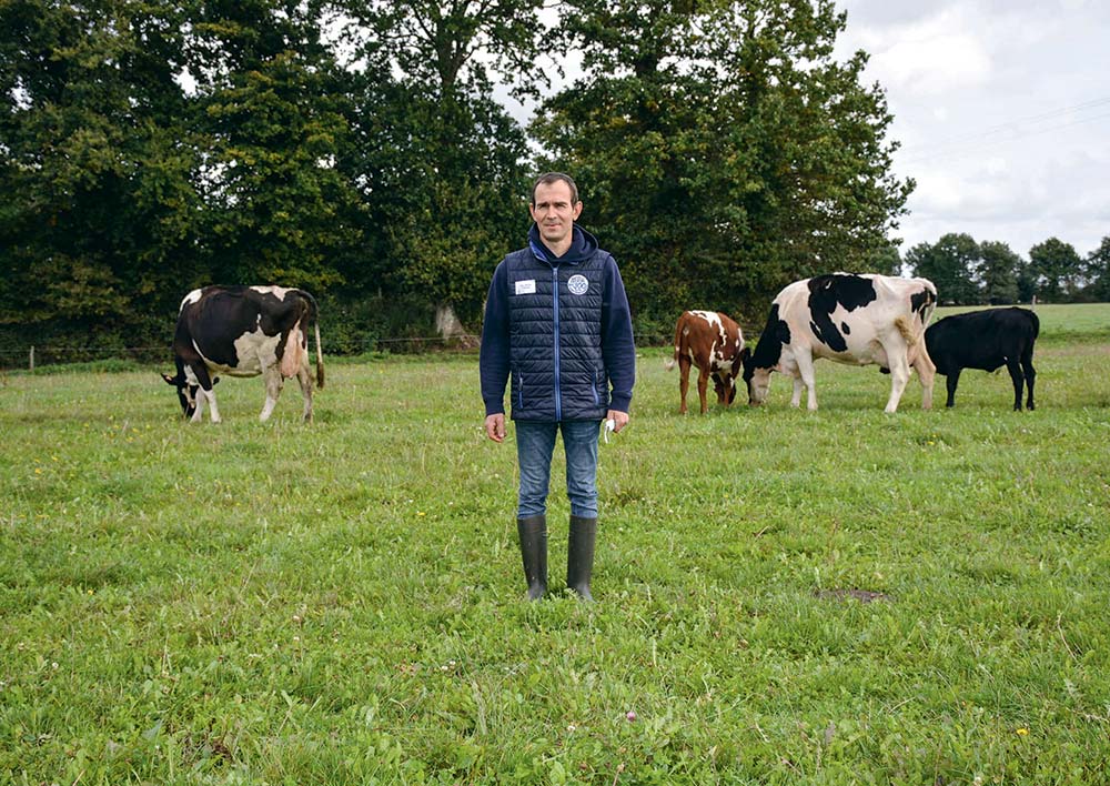 6855.hr - Illustration Des génisses en pleine forme élevées par des nourrices