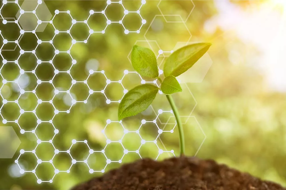Adobestock 198069026 - Illustration Biocontrôle : Une stratégie nationale pour « lever les freins »