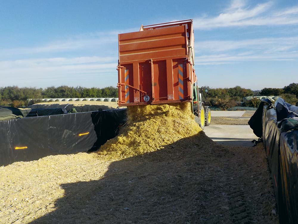 23 181023arvalis Auijttewaal141 - Illustration Plus d’autonomie avec l’ensilage d’herbe et de maïs épi