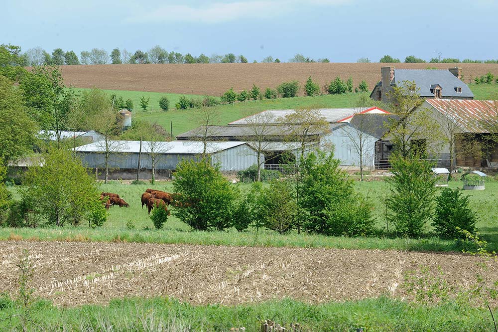 7158.hr - Illustration Les agriculteurs vivent dans l’urgence de trouver des prix rémunérateurs