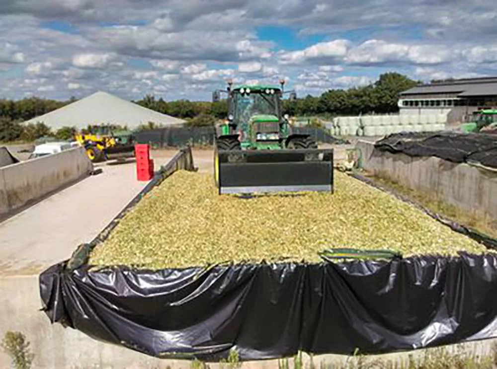 7229.br - Illustration Semer un maïs très précoce pour un vrai silo soudure