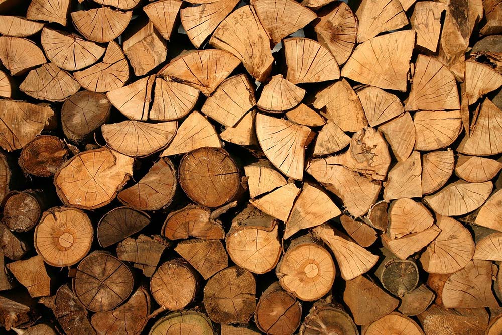 7559.hr - Illustration De quel bois je me chauffe ?