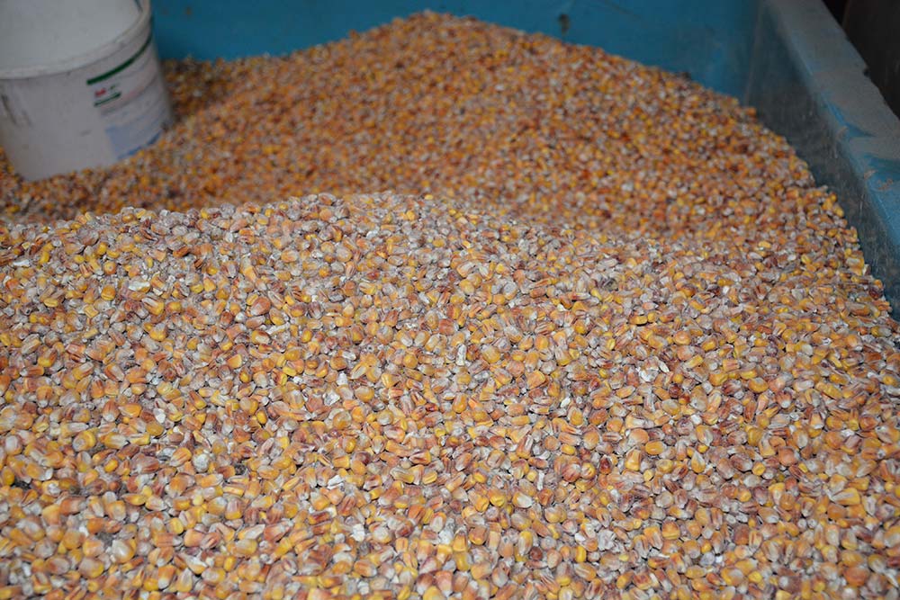 7575.hr - Illustration Les matières premières agricoles prennent le large