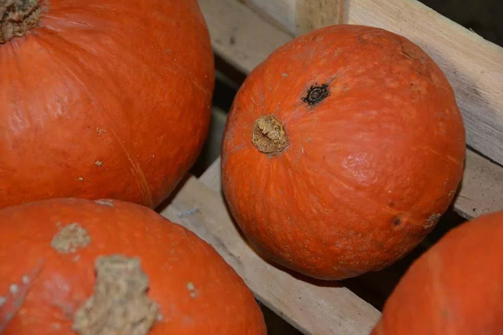 7605.hr - Illustration Bilan et résultats d’expérimentation