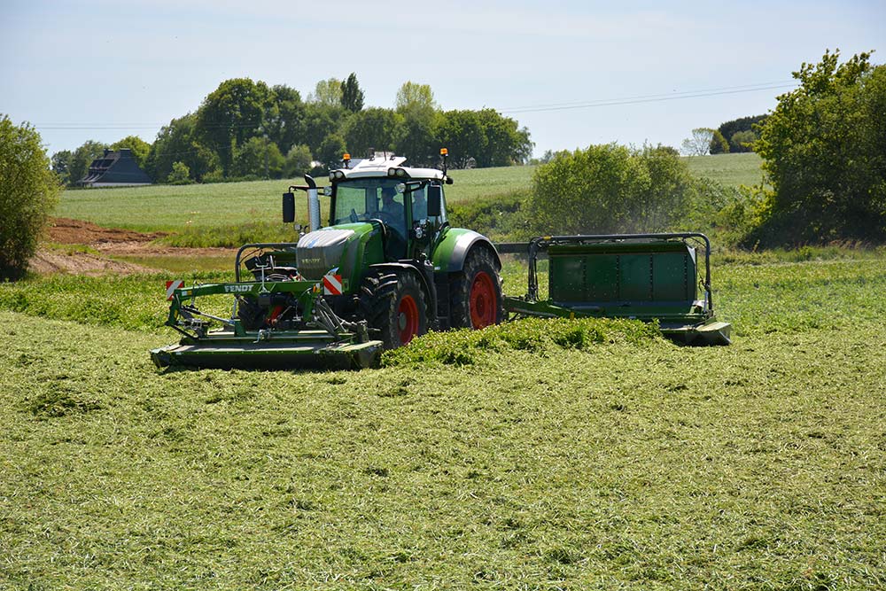 Ddd7606.hr - Illustration De plus en plus de matériel pour la culture de l’herbe en Cuma