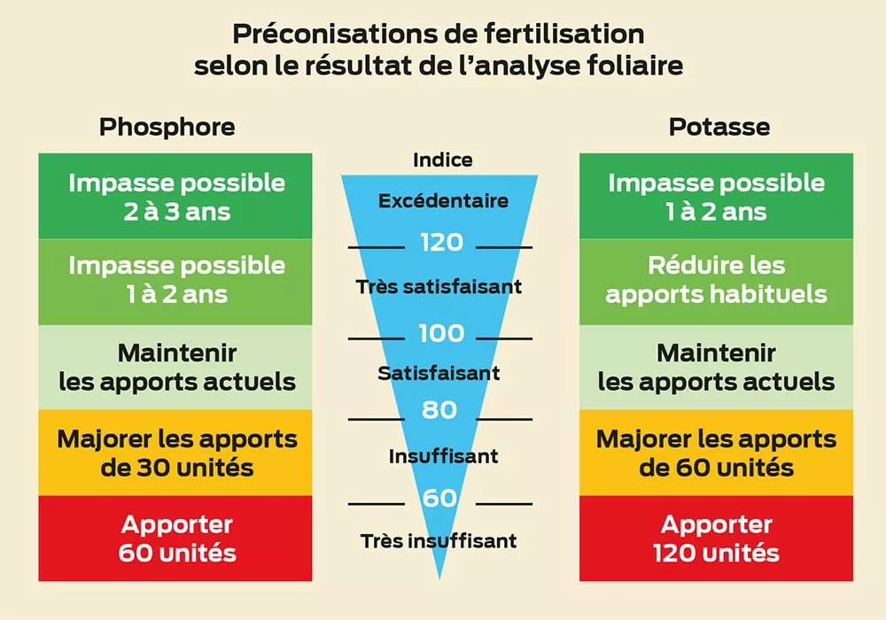 Graphique Dld - Illustration Réserve de fond pour la prairie