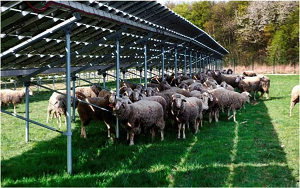 Dd7642.hr - Illustration Trouver l’équilibre entre foncier agricole et photovoltaïque au sol