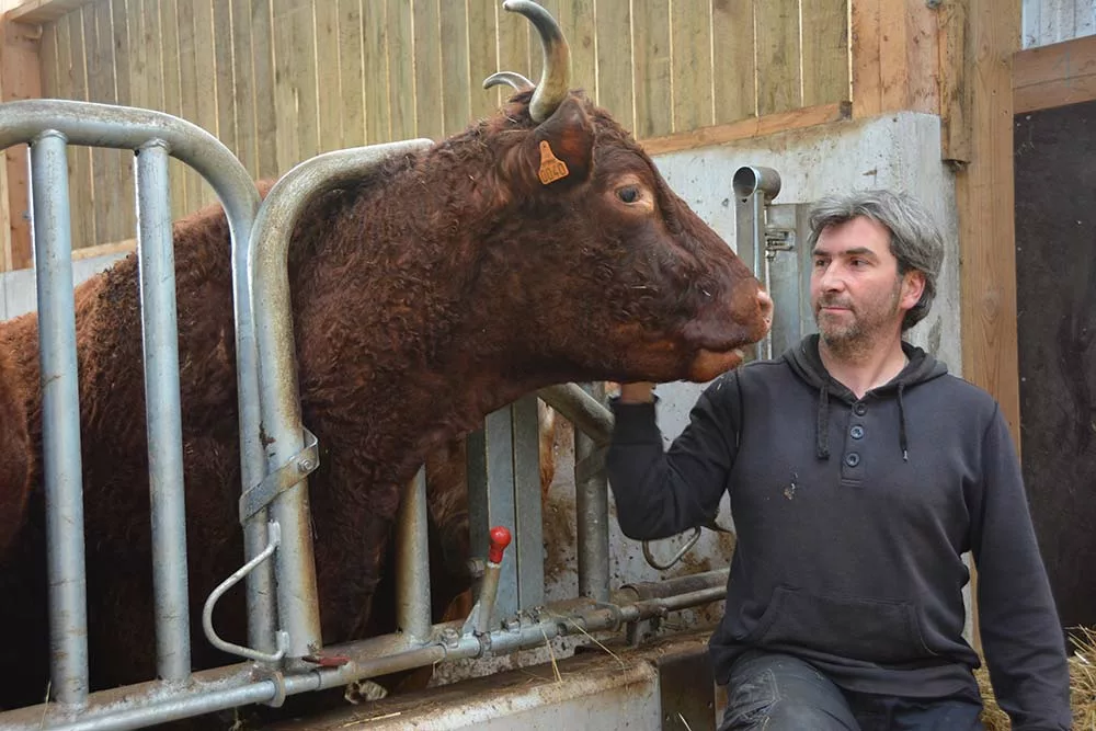 Dd7733.hr - Illustration Une viande de qualité au seuil de sa porte