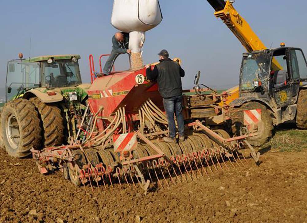 Dd7756.hr - Illustration Du pois sur des parcelles ressuyées