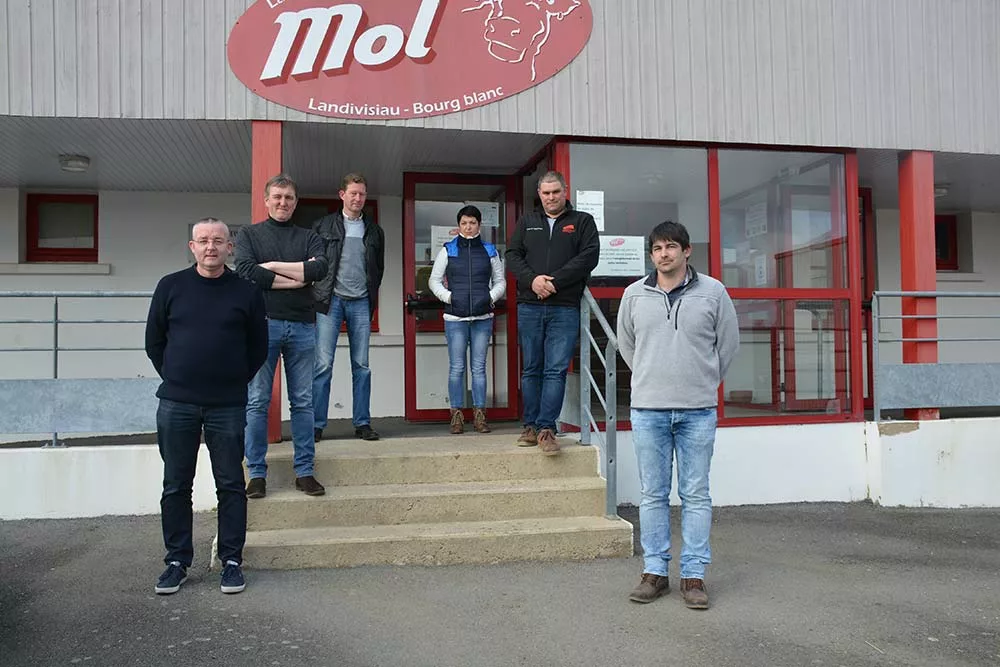 dd8105.hr - Illustration Une vente de reproducteurs inter-races en bovin viande