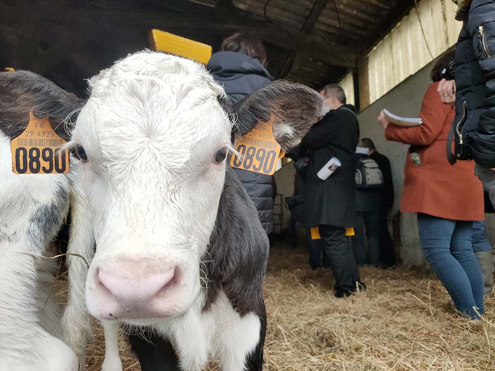 dd8194.hr - Illustration Bio : Plus de 1000 fermes dans le Finistère