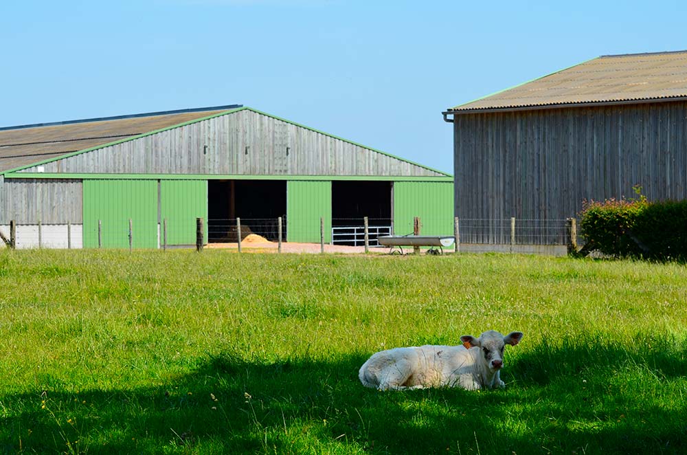 dd8464.hr - Illustration Le changement de destination d’un bâtiment agricole