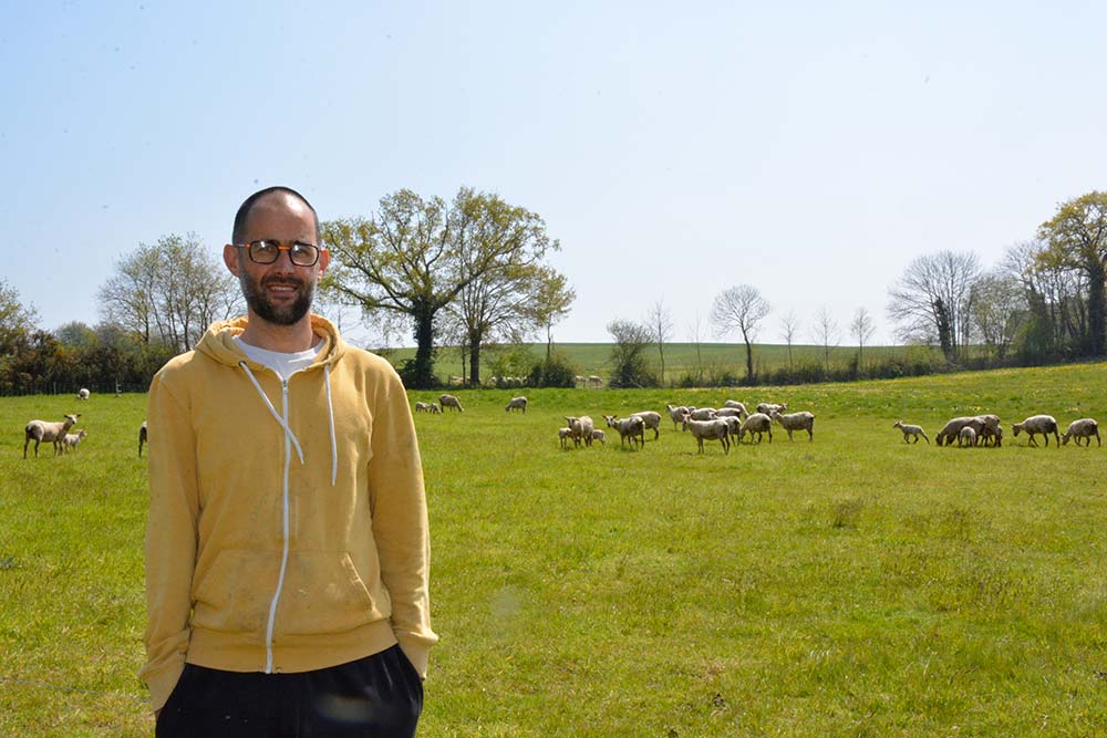 dd8602.hr - Illustration Une lactation de printemps à l’herbe