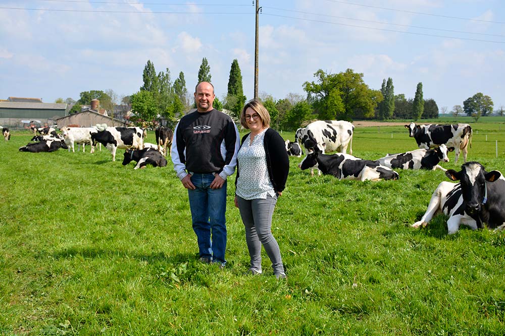 dd8604.hr - Illustration Une ration diversifiée et productive
