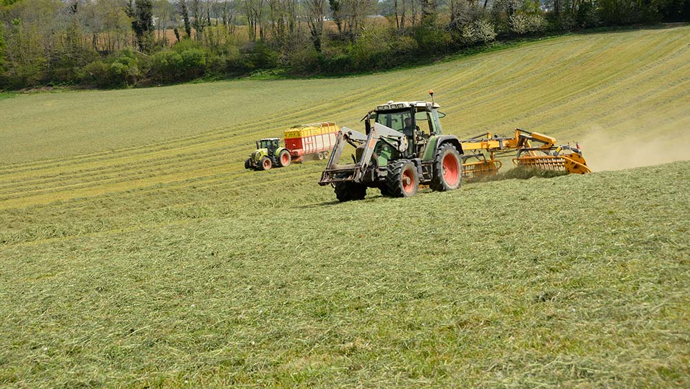 fpa 7475 - Illustration La gestion de l&rsquo;herbe s&rsquo;affine