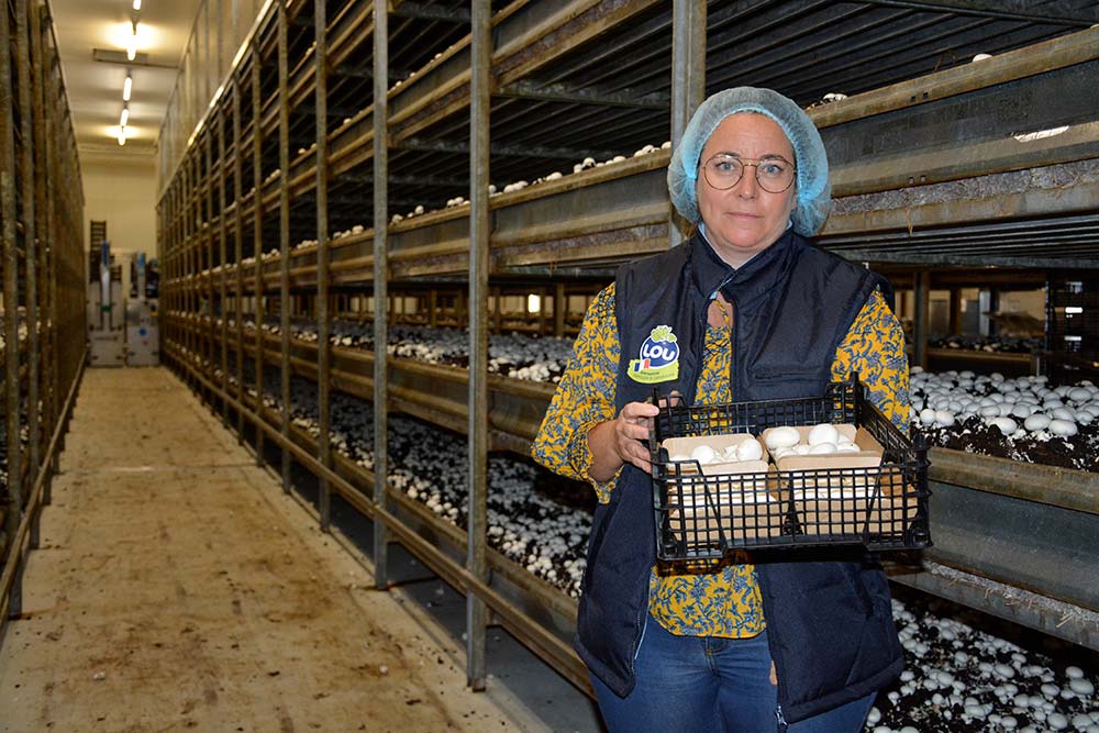 dd8646.hr - Illustration Les champignons Lou en plein boom