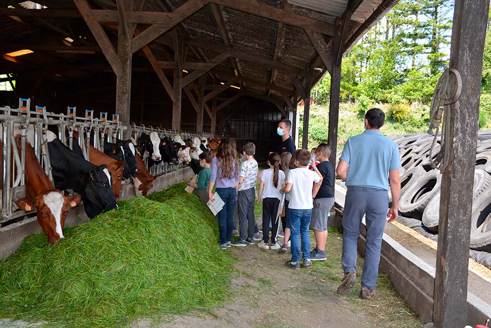 8906.hr - Illustration Un cours de sciences naturelles à la ferme