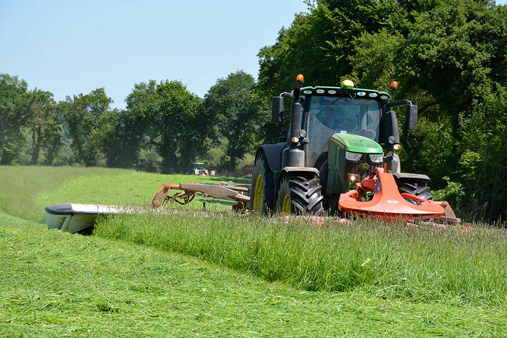 8954.hr - Illustration Un mois de juin favorable à l’herbe