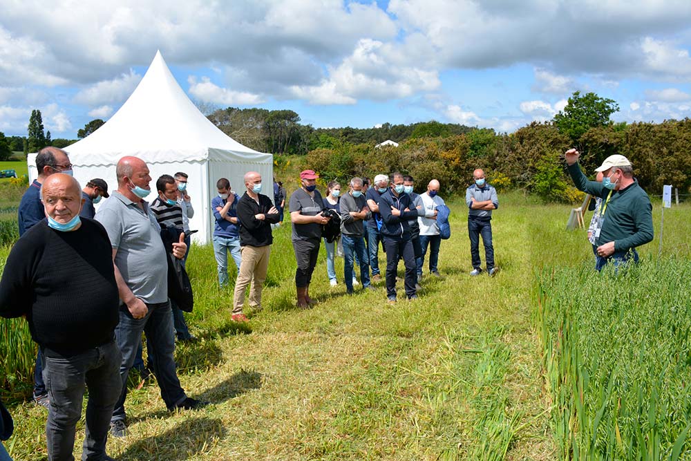 8dd700.hr - Illustration L’agroécologie s’expose au Gaec du Pont Nevez, à Surzur