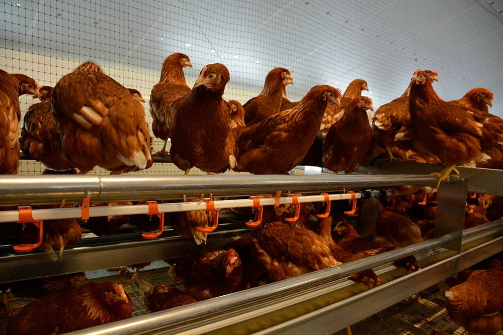 dd8691.hr - Illustration Nouvelle alerte sur la flambée du coût  des matières premières