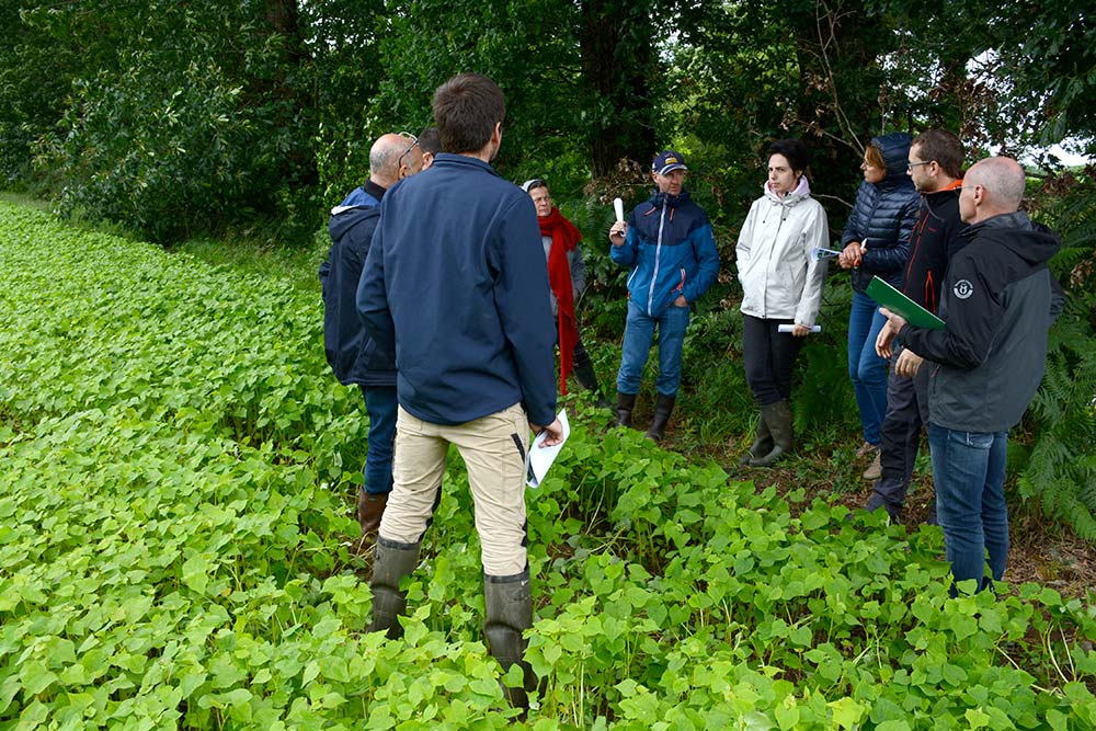 9137.hr - Illustration Des synergies à développer entre agriculteurs et apiculteurs