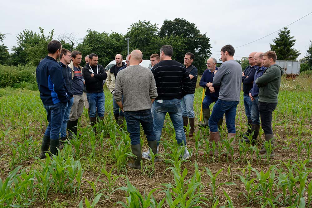 9203.hr - Illustration Ils visent une baisse des herbicides en agriculture de conservation