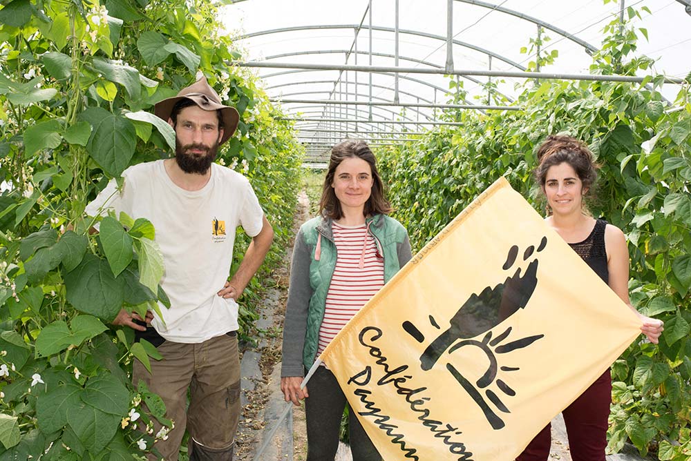 9213.hr - Illustration « Les fruits et légumes abandonnés par la Pac »