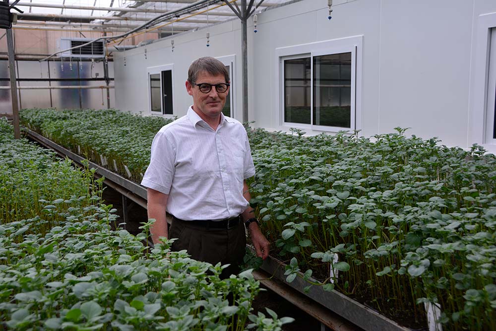 9657.hr - Illustration Bretagne Plants : 117.000 t de plants exportées