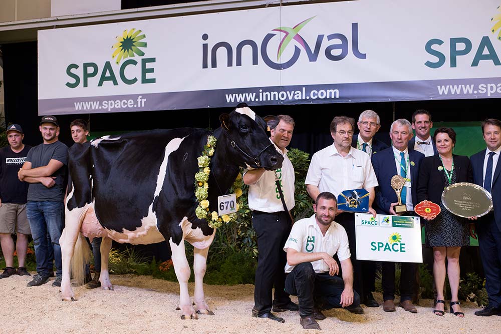 9742.hr - Illustration Prim’Holstein au Space : Janna Cama remet ça