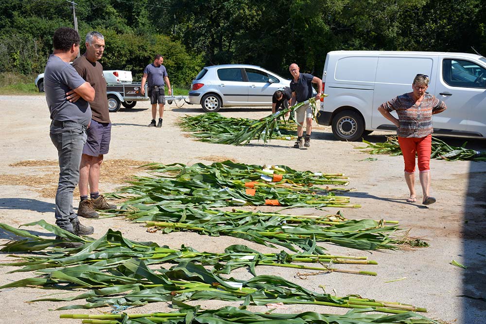 e9611.hr - Illustration Les ensilages débutent dans le sud Morbihan