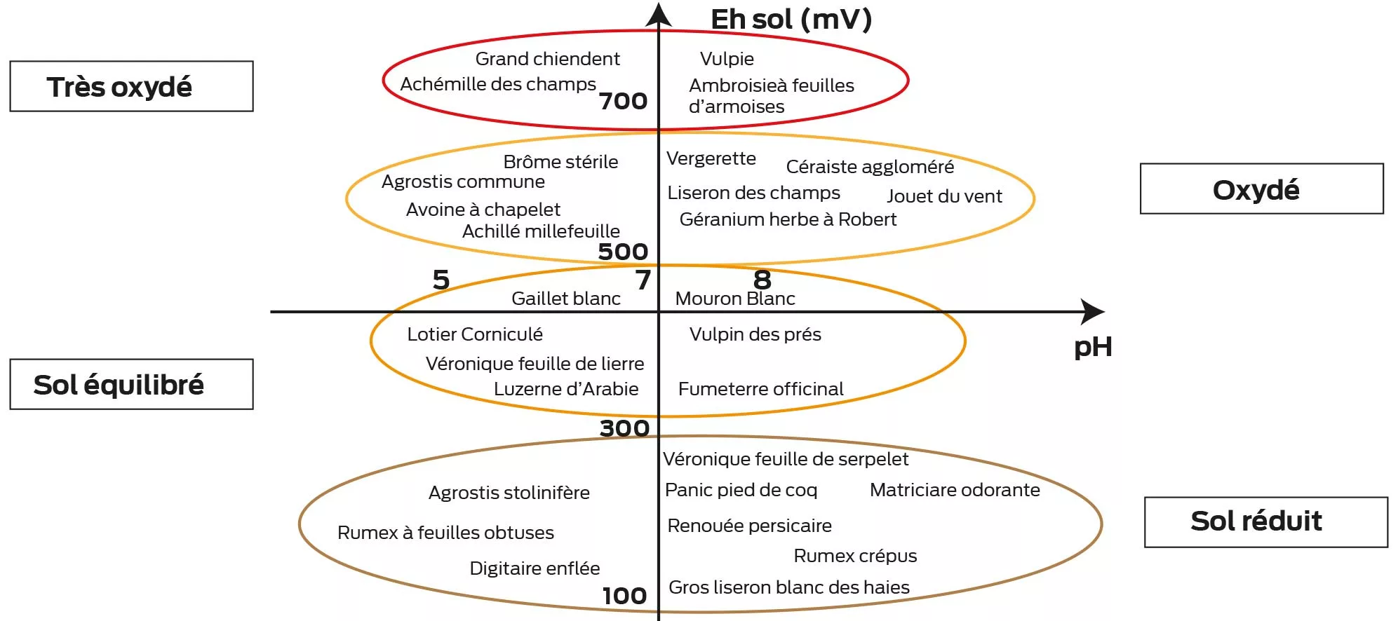 graph p12 - Illustration Redox et pH du sol influencent la croissance des prairies