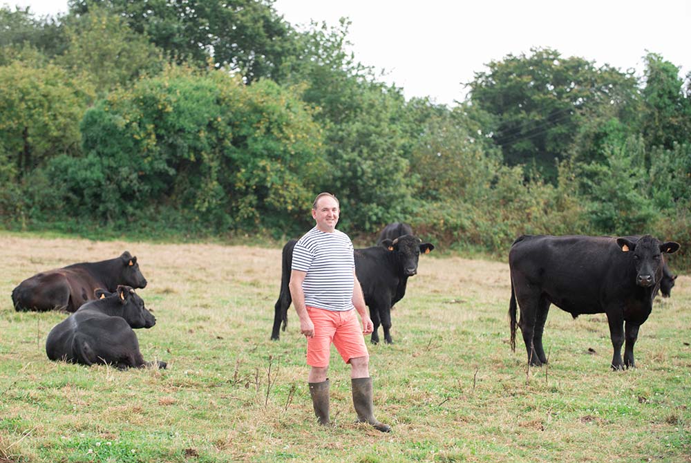 9866.hr - Illustration Du lait à la vente directe de viande d’Angus