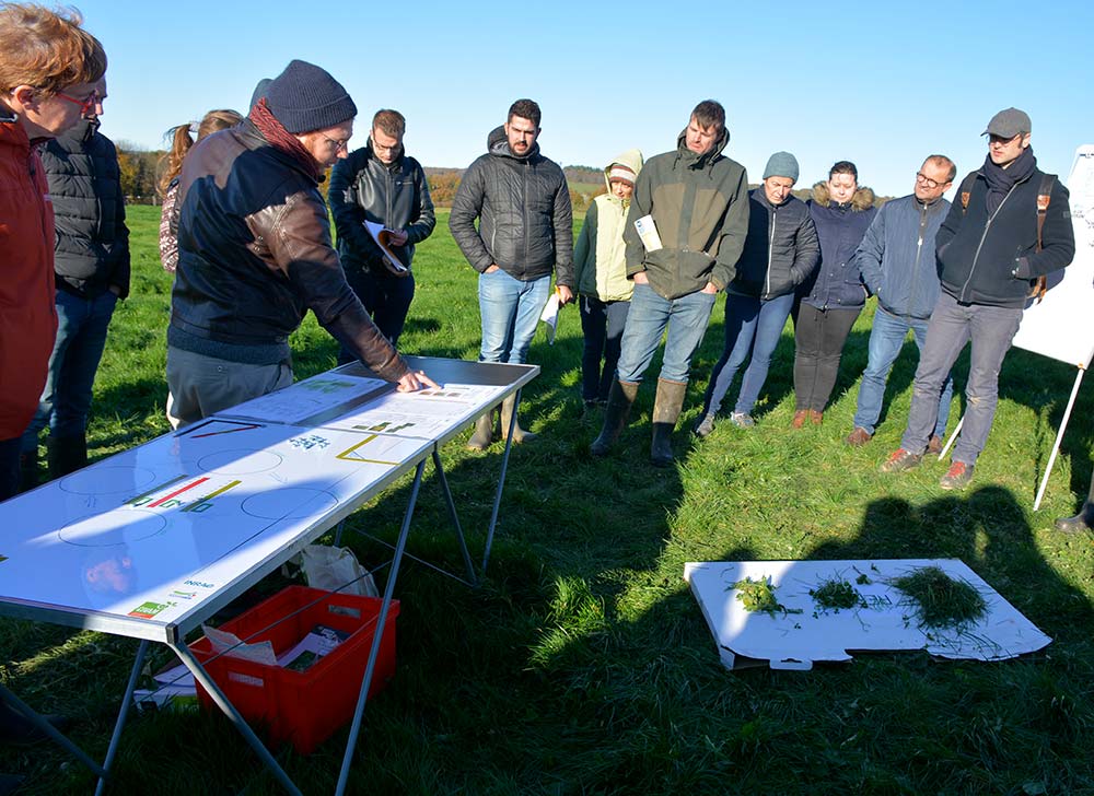 10373.hr - Illustration Une animation « Bien faire vieillir ses prairies »