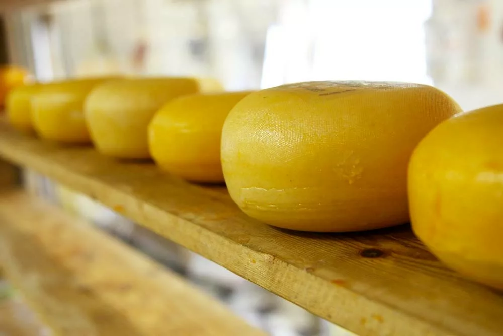 salon fromage 2022 - Illustration Trois Bretons au Salon du fromage