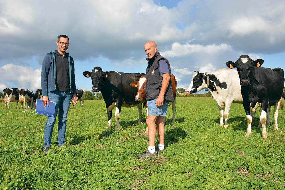 10188.hr - Illustration Moins de 80 €/1 000 L avec des vaches à haut potentiel