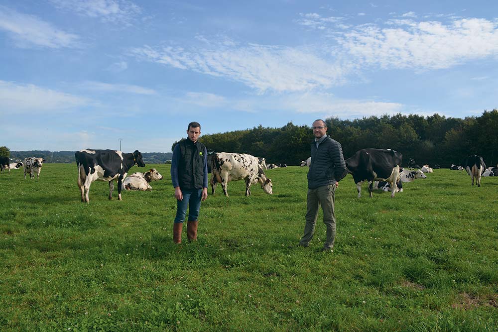 10191.hr - Illustration Autonomie et production  grâce à la luzerne déshydratée