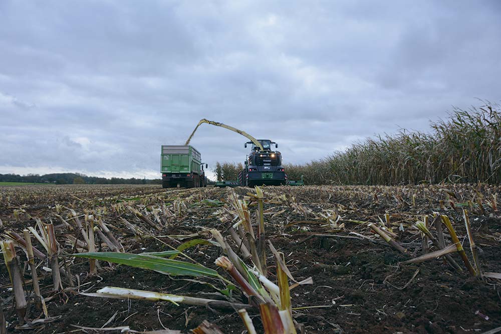 les chantiers d’ensilage ont été très étalés cette année. - Illustration Maïs fourrage 2021 : Un démarrage difficile mais des rendements records