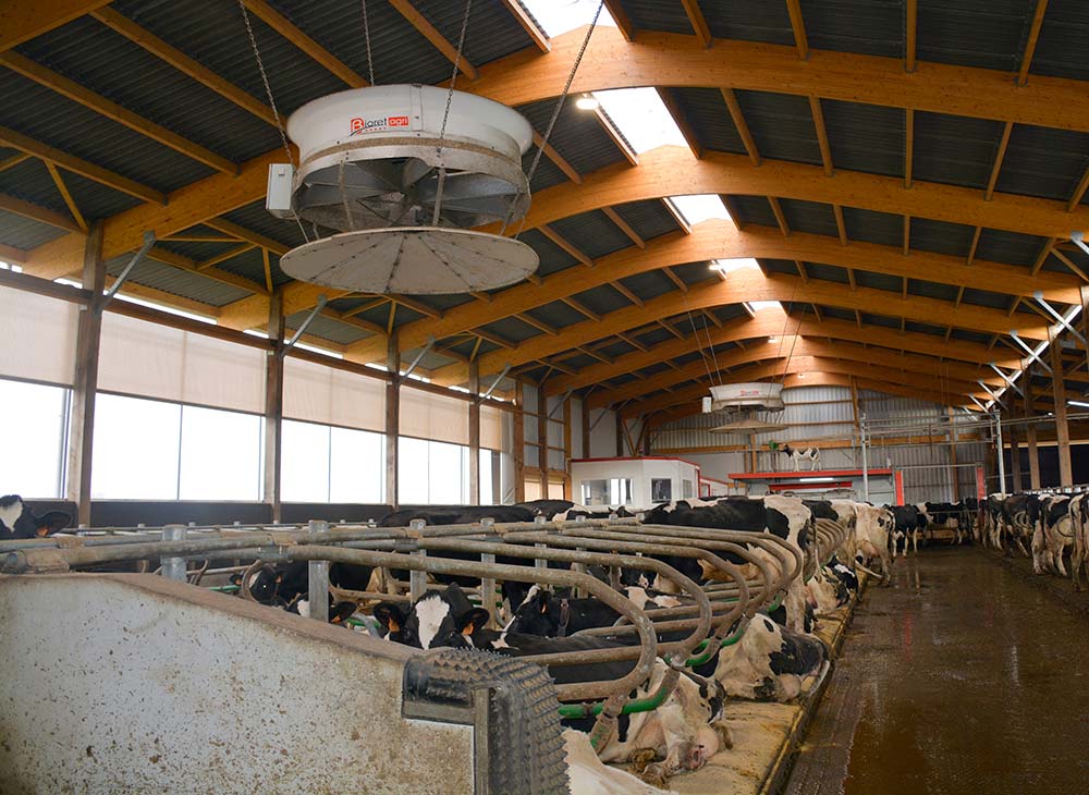 11061.hr - Illustration Les ventilateurs chassent les mouches