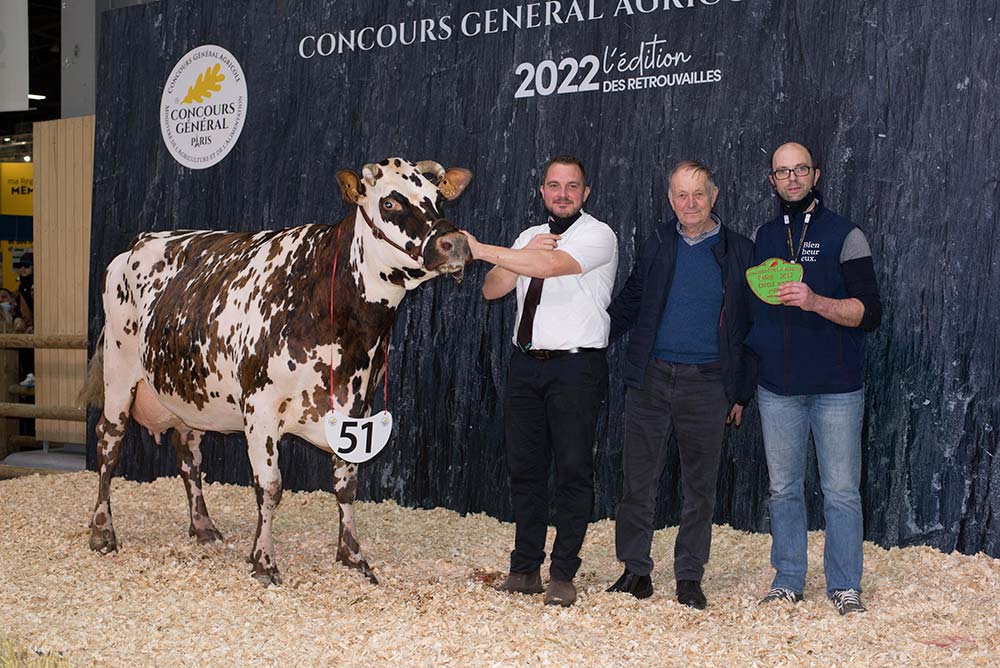 11197.hr - Illustration Normande : Lazone gagne Paris