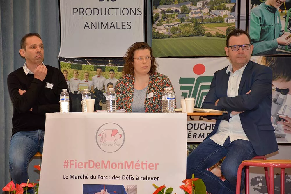 11513.hr - Illustration Porc : Comment retrouver de la rentabilité ?