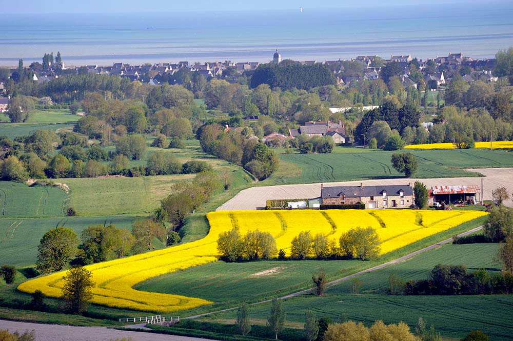 11696.hr - Illustration La déclaration est ouverte sur Télépac depuis le 1er avril