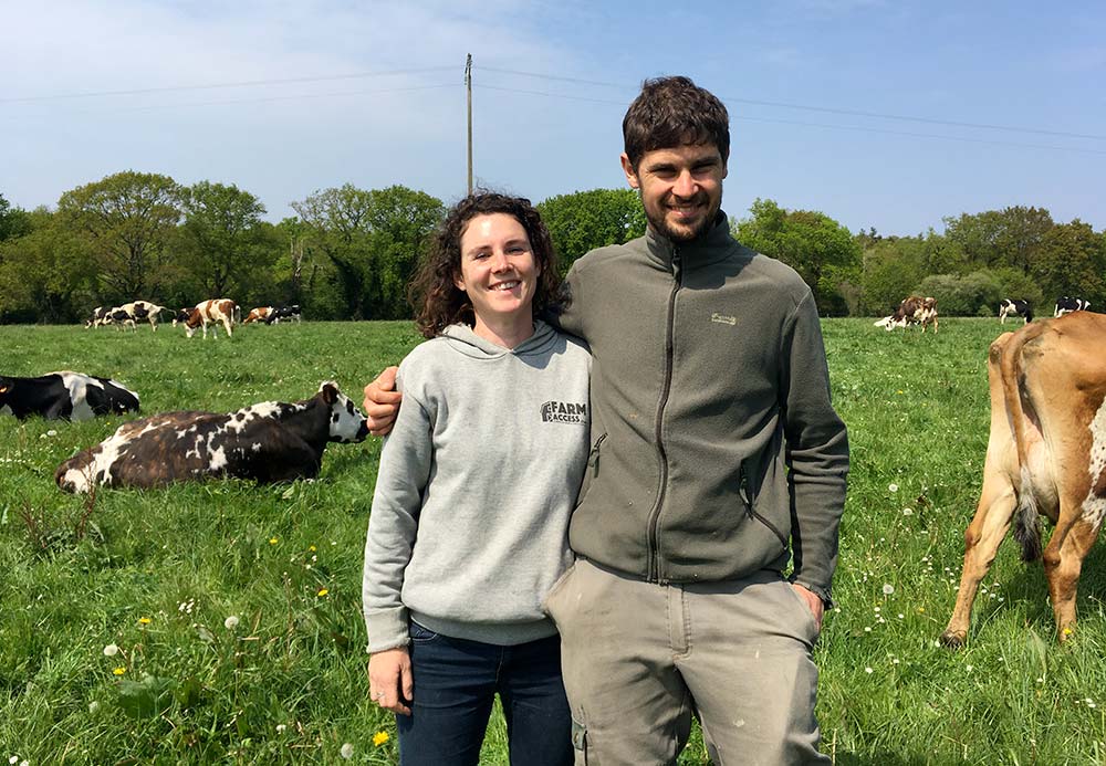 Des éleveurs laitiers dans une prairie au milieu de leurs vaches - Illustration Maximiser le pâturage en s’adaptant au contexte séchant