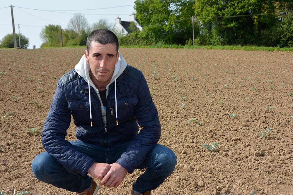 Un producteur de légumes finistérien accroupi dans un champ. - Illustration Il supprime les herbicides au profit de la qualité de l’eau