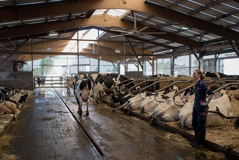 12101.hr - Illustration Limiter le coup de massue des grosses chaleurs