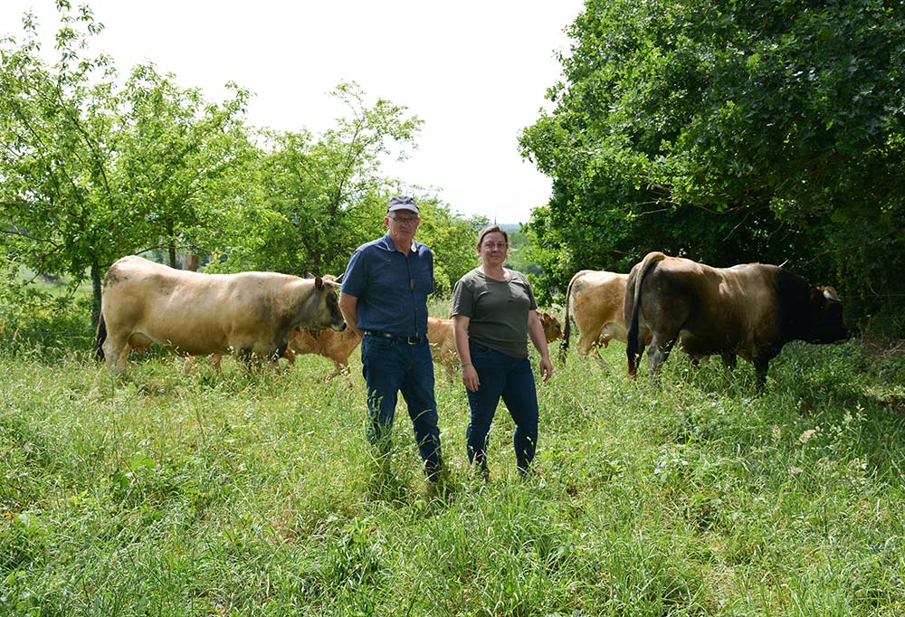 12274.hr - Illustration Les Aubracs complémentaires de l’atelier chèvres