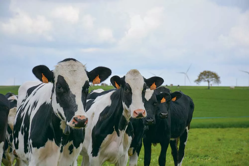 12083.hr - Illustration « Vers une agriculture duale ? »