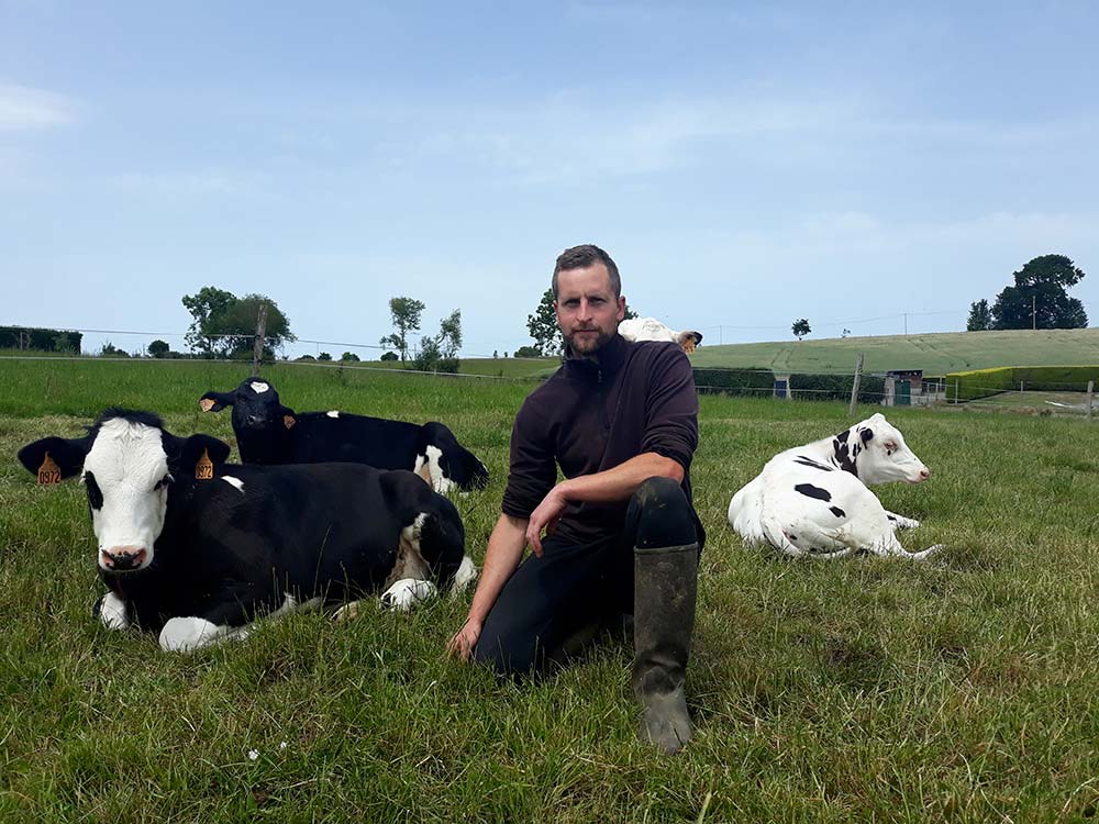 12540.hr - Illustration Les veaux au pâturage dès 2 mois et demi